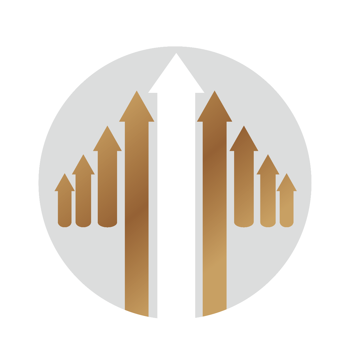 新盛生技國際有限公司 Kktix