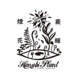 煙花蕨醒 Hanabi Plant