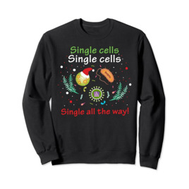 Ugly Christmas Sweater Bio