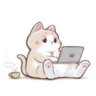 JT.Chou的 gravatar icon