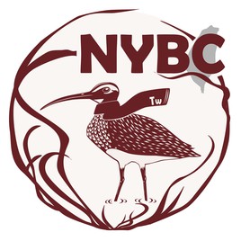 nybc2013 的個人組織