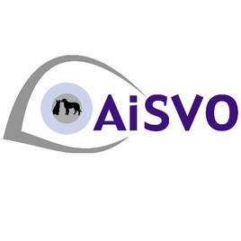 Annual Conference of AiSVO in TW
