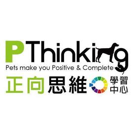 P-Thinking