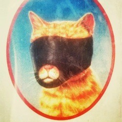 Meow promote