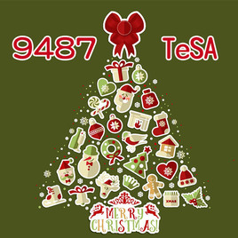 TeSA 耶誕活動小組