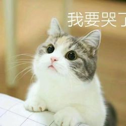 2017060814313117859 promote